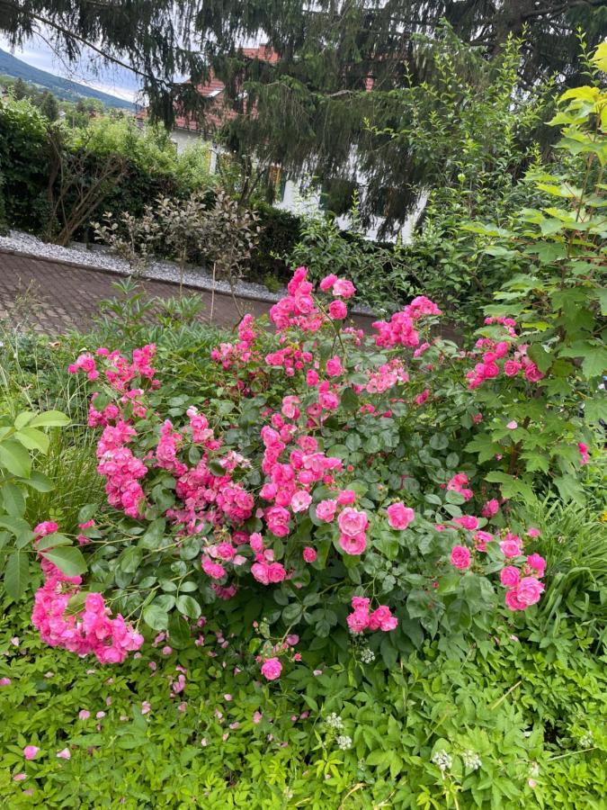 Freiblick 1 Bad Glbg Mit Garten Top1 Bad Gleichenberg Bagian luar foto