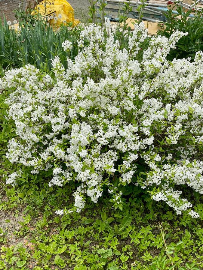 Freiblick 1 Bad Glbg Mit Garten Top1 Bad Gleichenberg Bagian luar foto